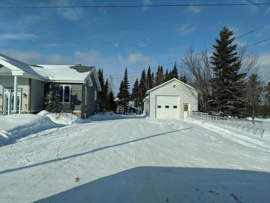 sva-inc | 108 Rue du Parc, Albanel, QC G8M 5A3, Canada | Phone: (418) 276-7153