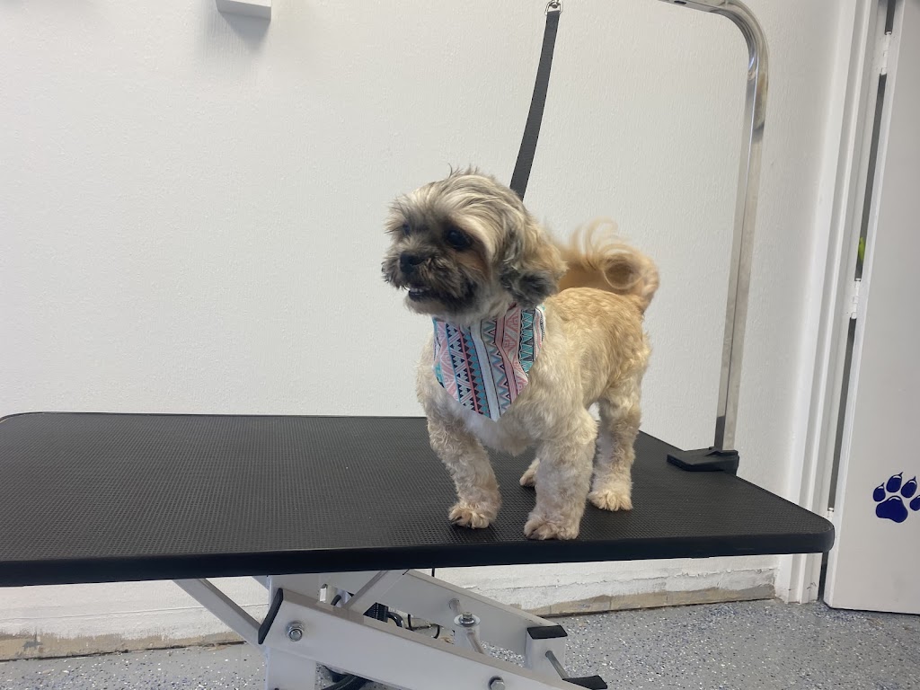 Scruffy To Fluffly by Shian | 95 Dufferin St, Perth, ON K7H 3A5, Canada | Phone: (613) 246-1145