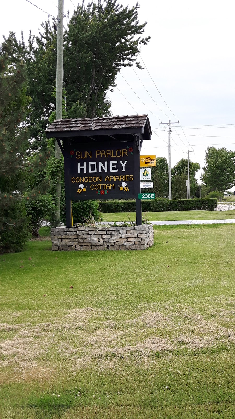 Sun Parlor Honey Ltd | 238 County Rd 14, Cottam, ON N0R 1B0, Canada | Phone: (519) 839-4000
