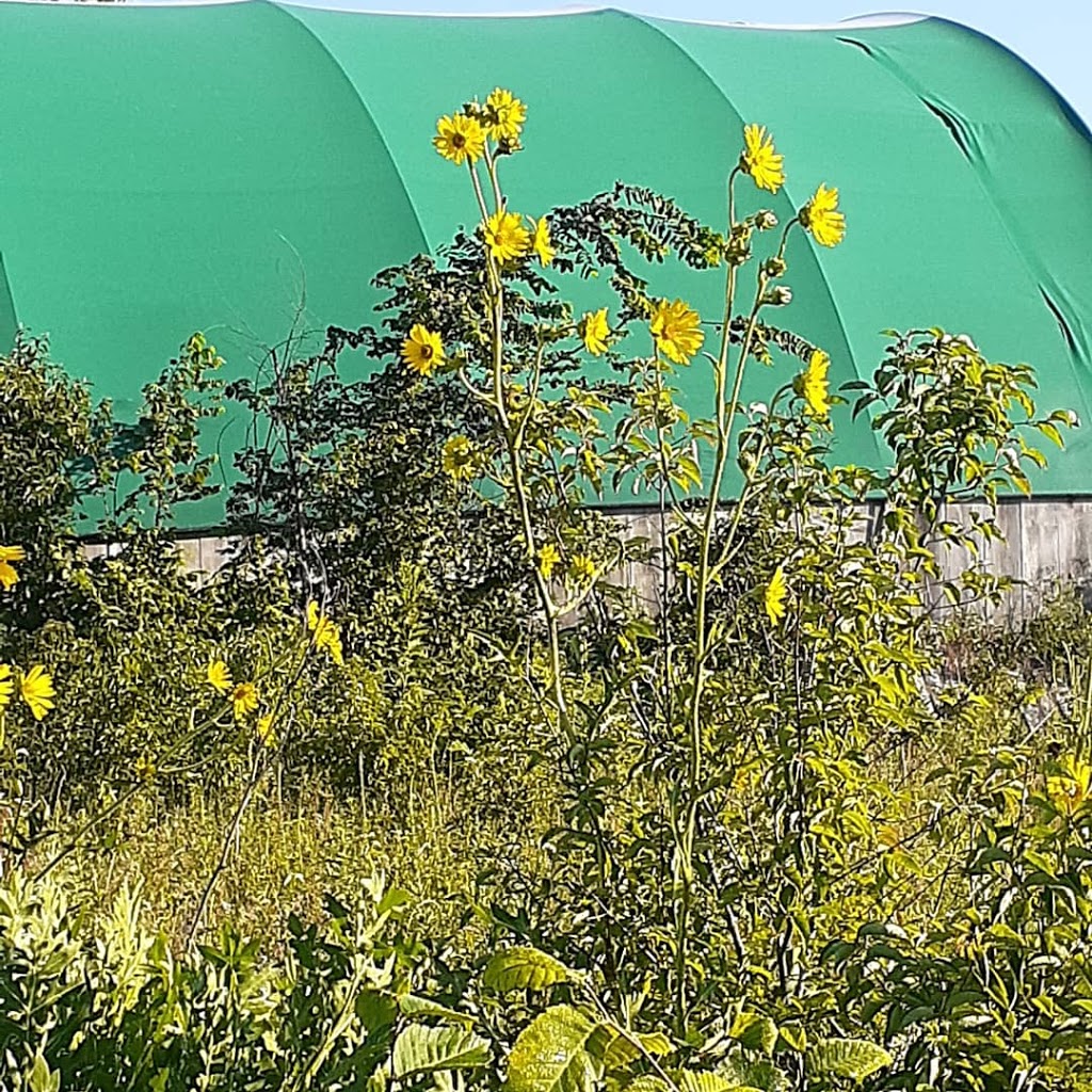 Howling Hound Farms | 6300 Walker Road, County Rd 11, Harrow, ON N0R 1G0, Canada | Phone: (519) 991-3195
