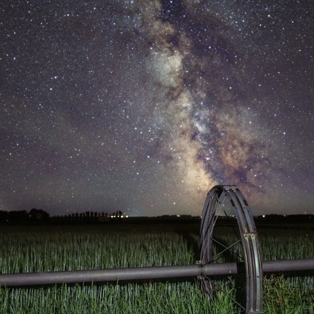 Michelle Kimura Photography | 2116 24th St, Coaldale, AB T1M 1J3, Canada | Phone: (403) 330-9877