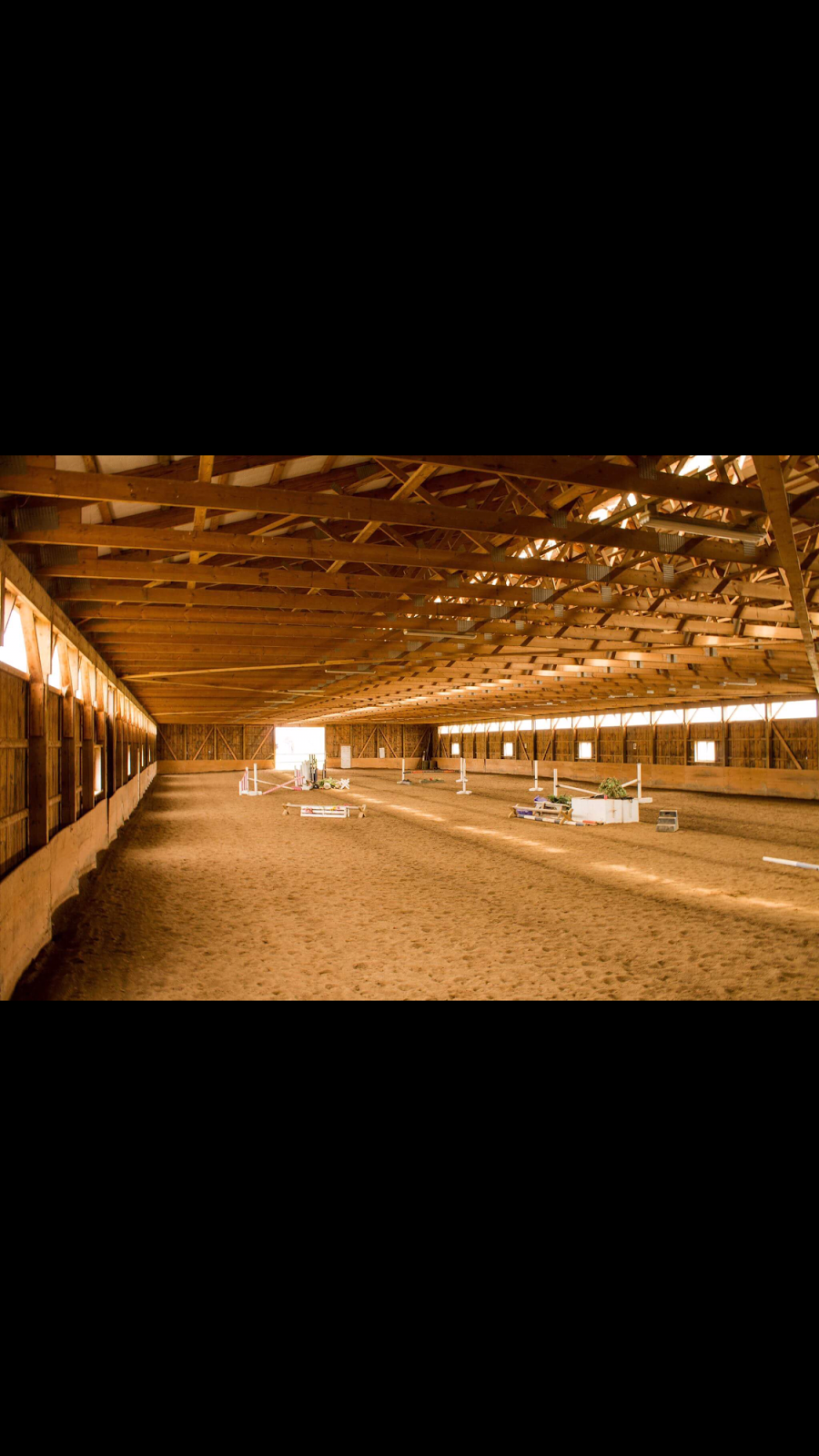 Maximum Equestrian Limited | 8814 Twenty Rd, Smithville, ON L0R 2A0, Canada | Phone: (289) 922-9029