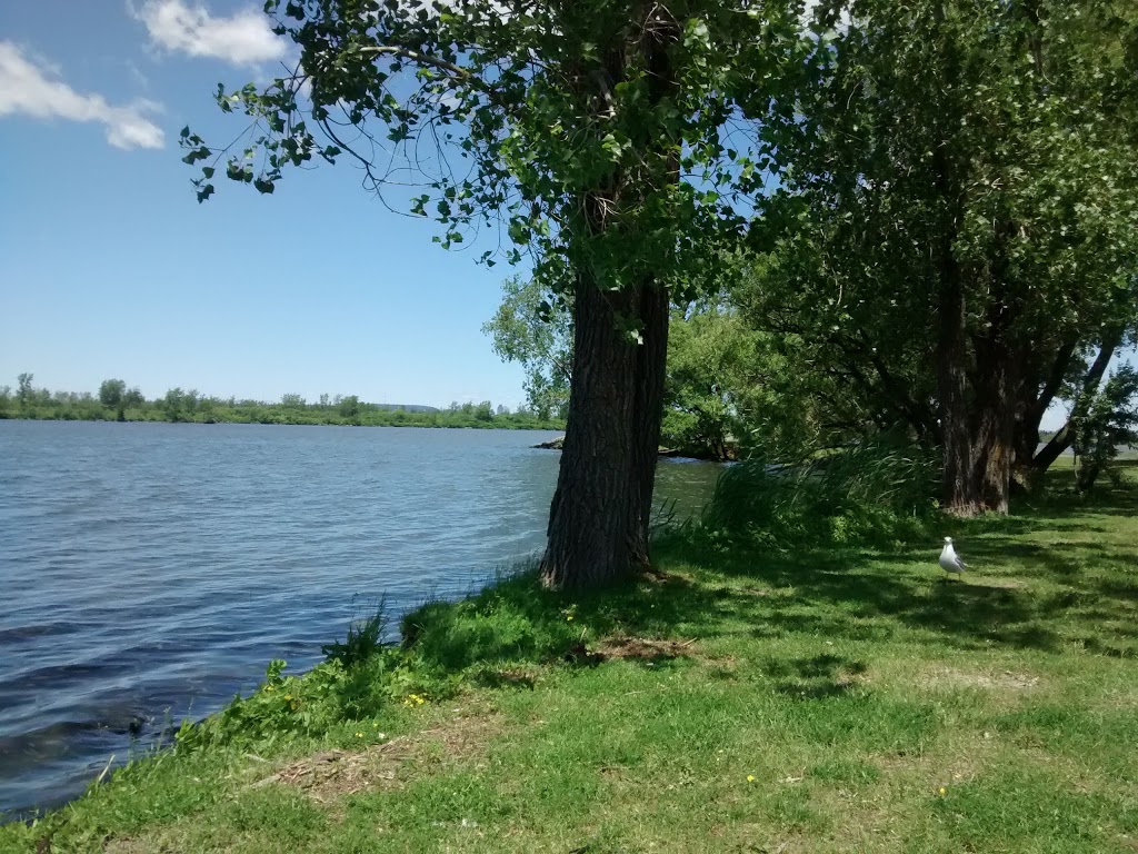 Parc Jean-Béliveau | 21 Rue Perron, Saint-Constant, QC J5A 1H2, Canada | Phone: (450) 638-2010