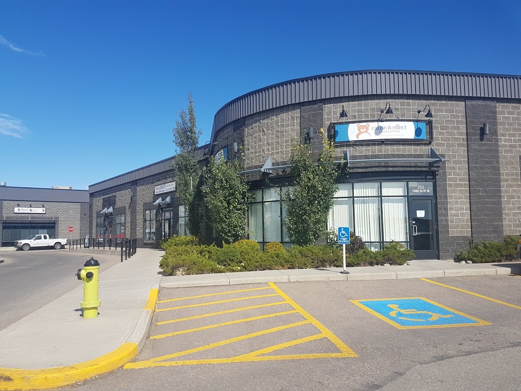 Cause & Effect Foundation | 6170 12 St SE #134, Calgary, AB T2H 2X2, Canada | Phone: (403) 523-0150