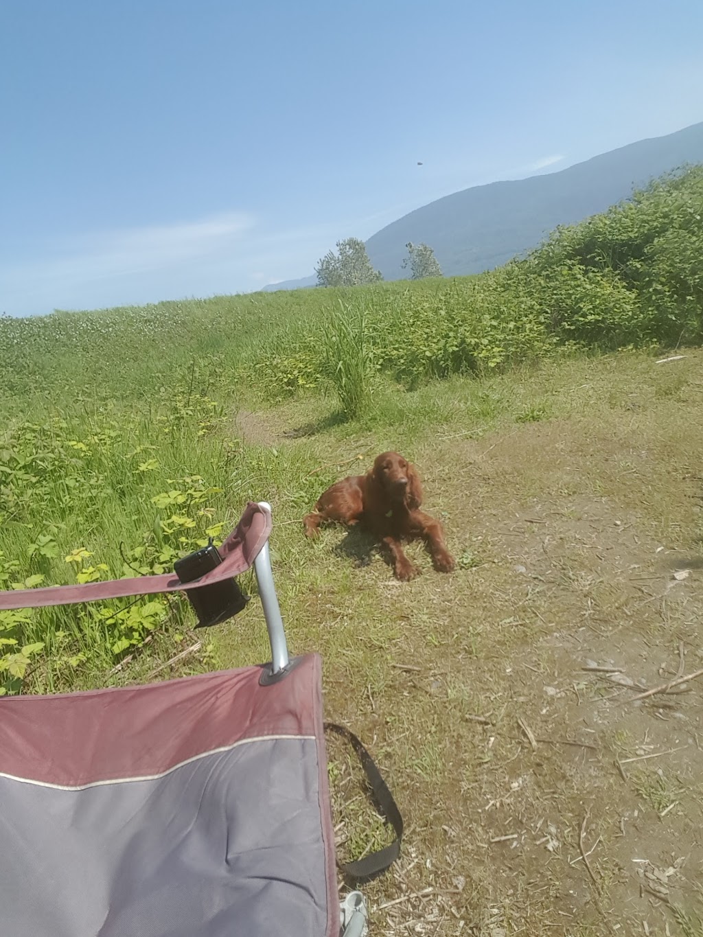 Chilliwack Golf Club | 41894 Yale Rd, Chilliwack, BC V2R 4J3, Canada | Phone: (604) 823-6521