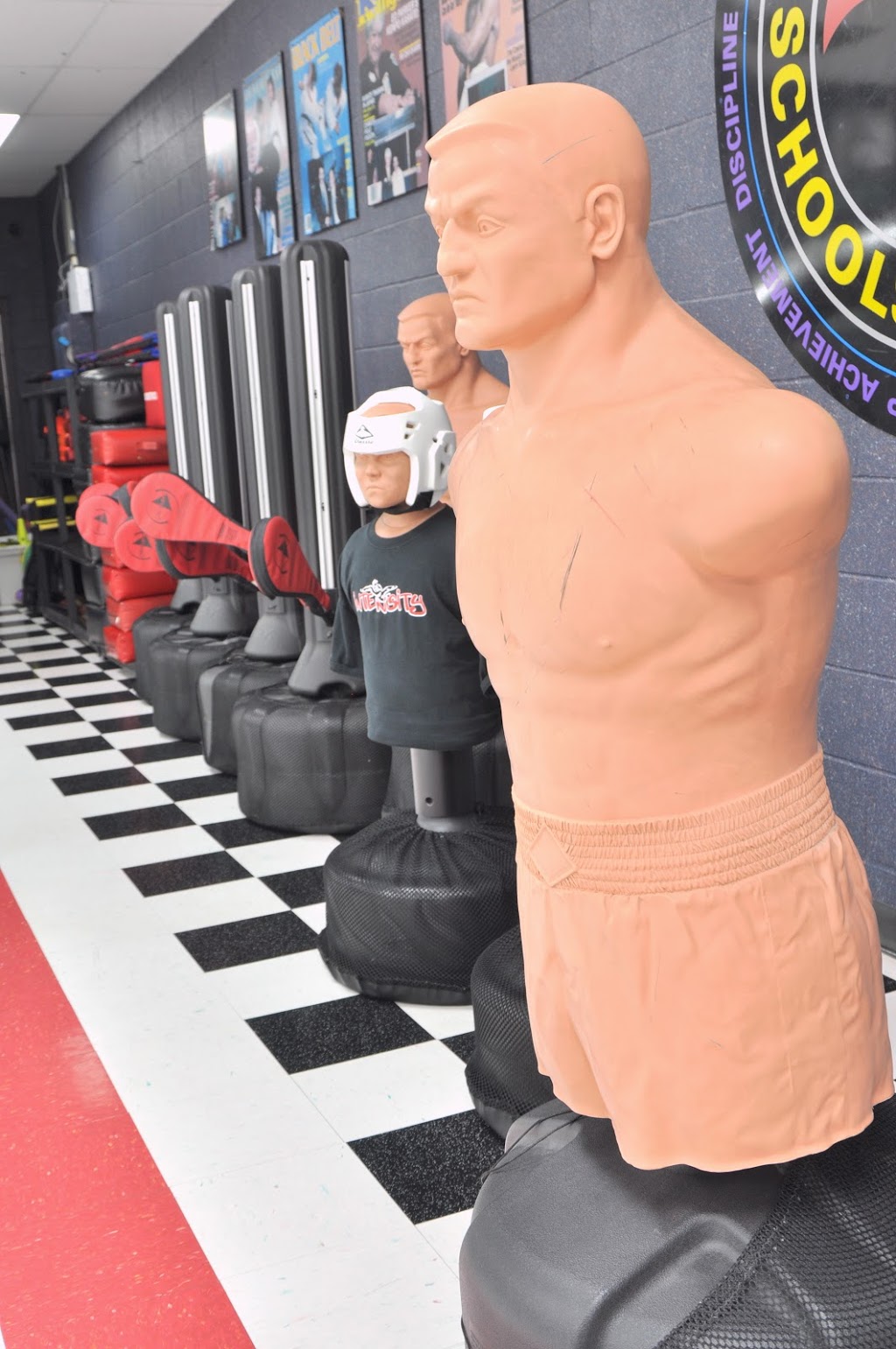 Mr Kerseys Karate Schools Limited | 3079 Forest Glade Dr, Windsor, ON N8R 1W6, Canada | Phone: (519) 979-6219