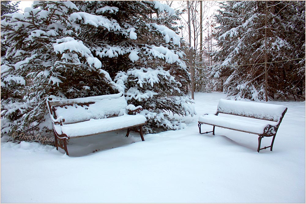 D. Dupuis | 1237 QC-317, Ripon, QC J0V 1V0, Canada | Phone: (819) 983-2241