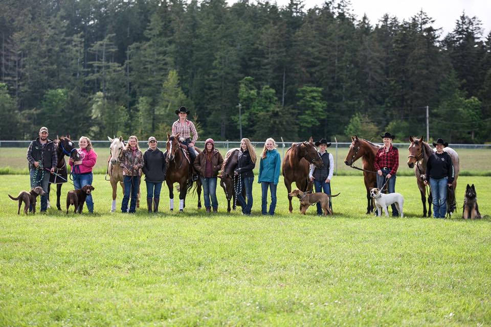 Creekside Equestrian | 6349 W Saanich Rd, Saanichton, BC V8M 1W8, Canada | Phone: (250) 818-2784