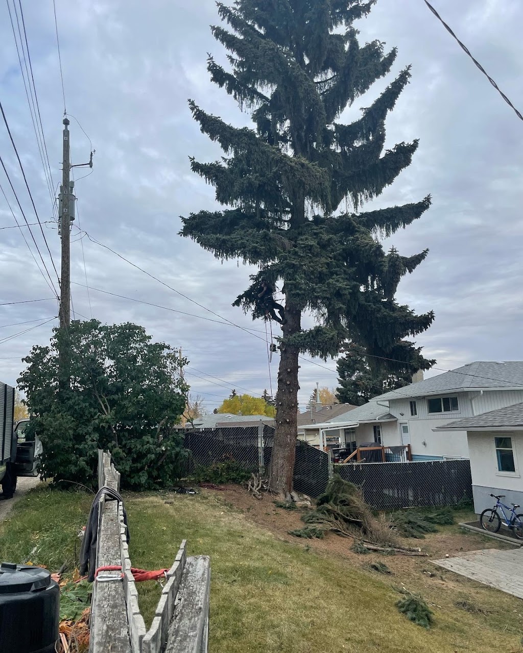 Stump Grinding Tree Service | 167 Edgemont Estates Dr NW, Calgary, AB T3A 2M4, Canada | Phone: (587) 586-1866