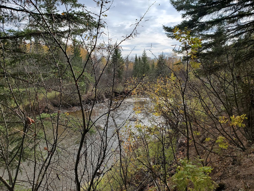 Sandilands Forest Discovery Centre | 67094 Road 68E, Hadashville, MB R0E 0X0, Canada | Phone: (204) 453-3182