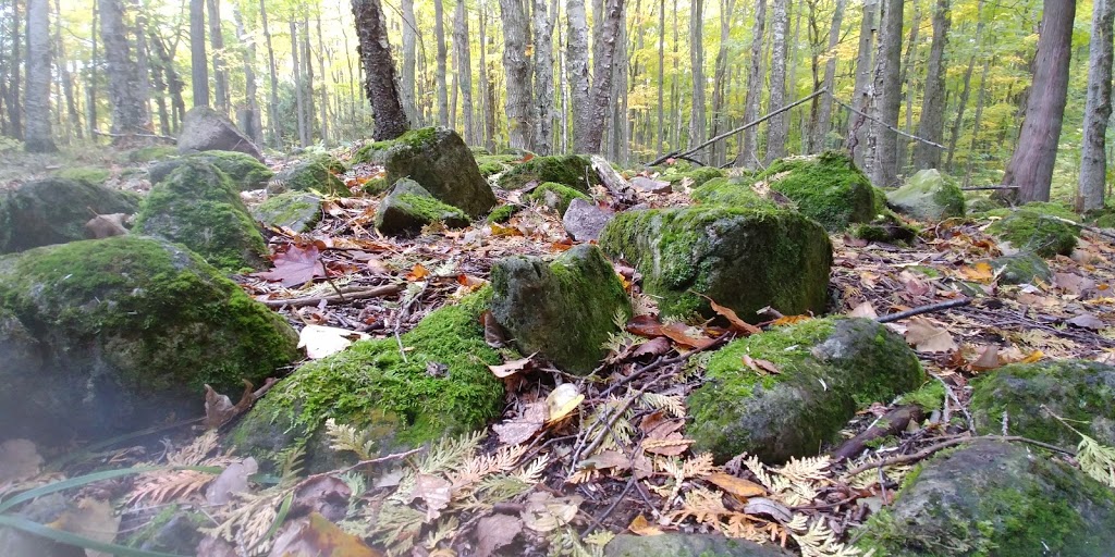 Old Baldy Conservation Area | 120 Old Baldy Access Rd, Kimberley, ON N4K 5N6, Canada | Phone: (519) 376-3076