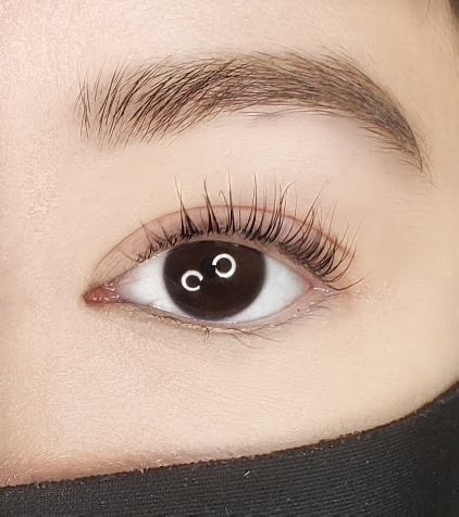 XO Lashes | 7724 7a Ave SW, Edmonton, AB T6X 0A2, Canada | Phone: (780) 885-2386