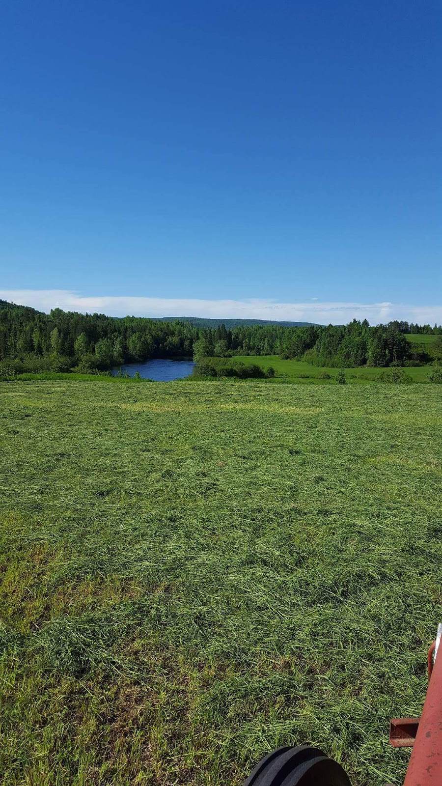 Ferme De Stéphane Et Nicole | 241 Rang Sud-Est, La Bostonnais, QC G9X 0A7, Canada | Phone: (819) 523-9593