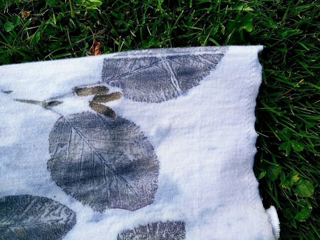Subtleties of Nature | 519 Bridgeview Ln, Port Howe, NS B0K 1K0, Canada | Phone: (902) 297-7857
