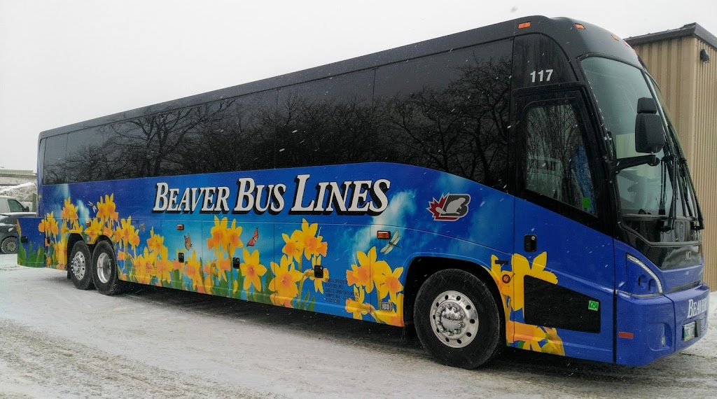 Beaver Bus Lines Ltd | 339 Archibald St, Winnipeg, MB R2J 0W6, Canada | Phone: (204) 989-7007