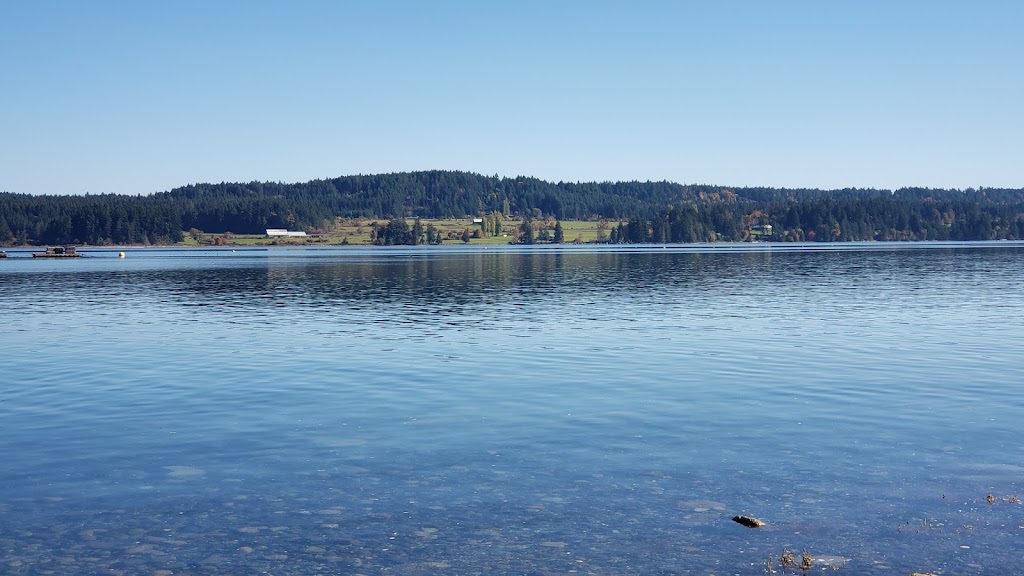 Baynes Sound Oyster Co | 5848 Island Hwy S, Union Bay, BC V0R 3B0, Canada | Phone: (250) 335-2111