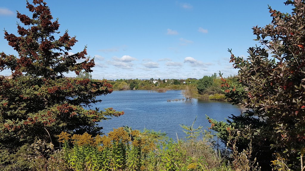 Bloore Pond | Brampton, ON L6R 2G8, Canada