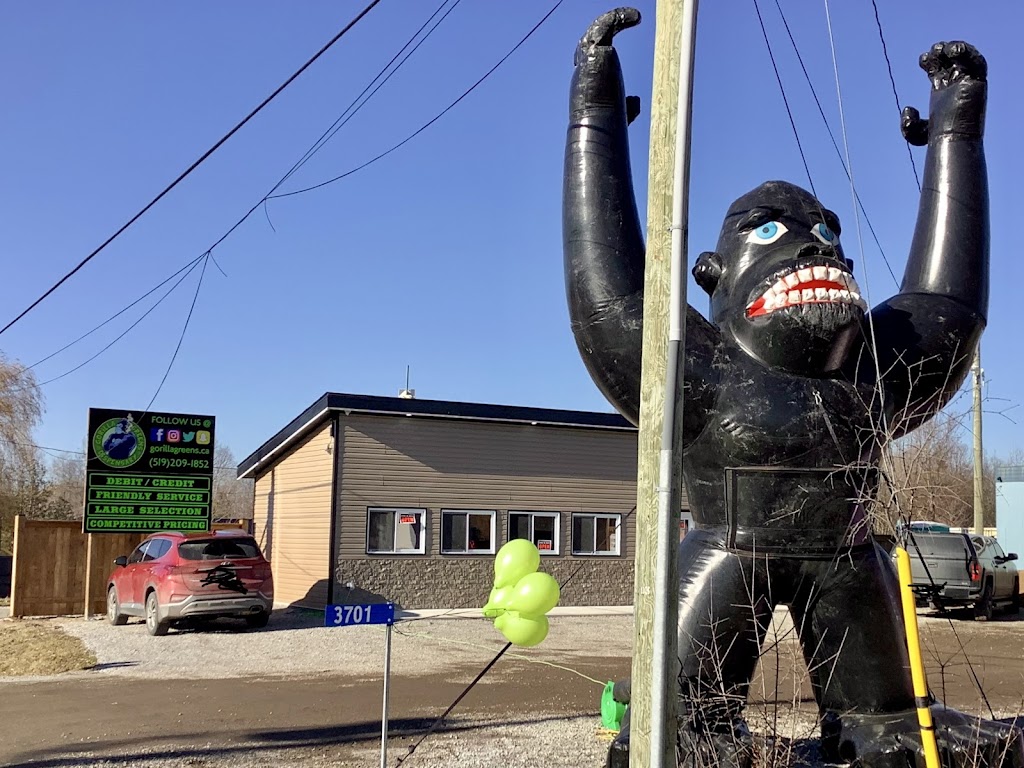 Gorilla Greens Dispensary | 3701 Mississauga Rd, Hagersville, ON N0A 1H0, Canada | Phone: (519) 209-1852