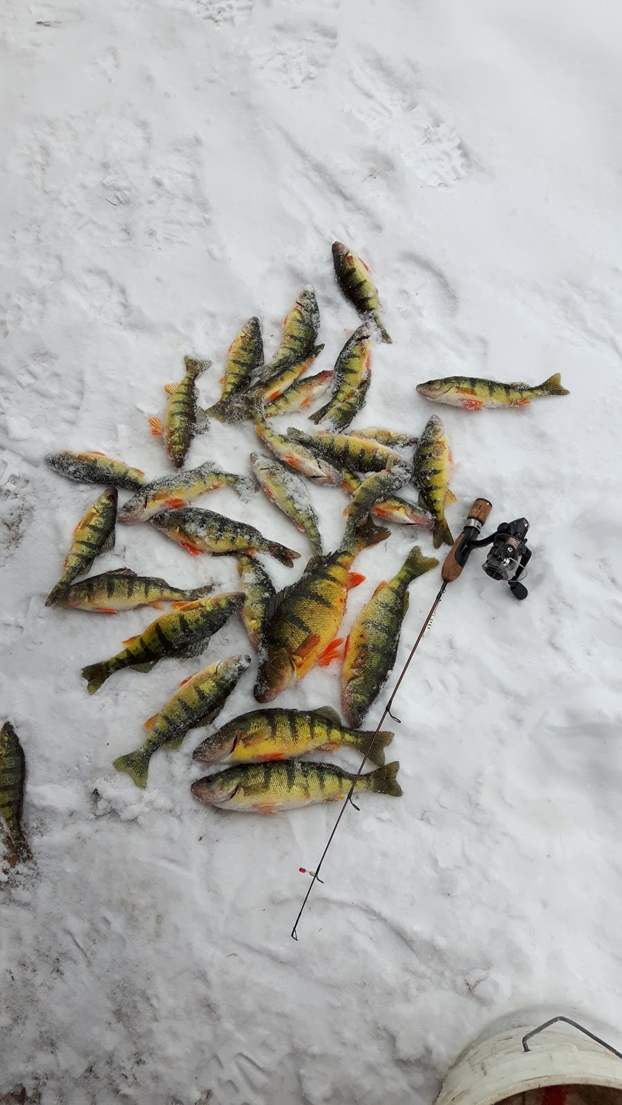 Adam Goy Fish Hut Rentals Lake Simcoe | 611 9 Line, Innisfil, ON L9S 3X6, Canada | Phone: (705) 796-2516