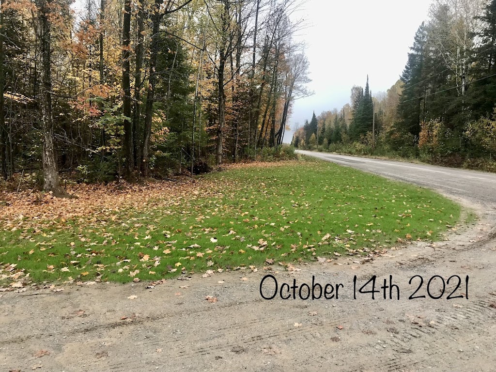 Norlock’s Hydroseeding Inc. | 224 Hila Rd, Pembroke, ON K8A 6W3, Canada | Phone: (613) 582-3566