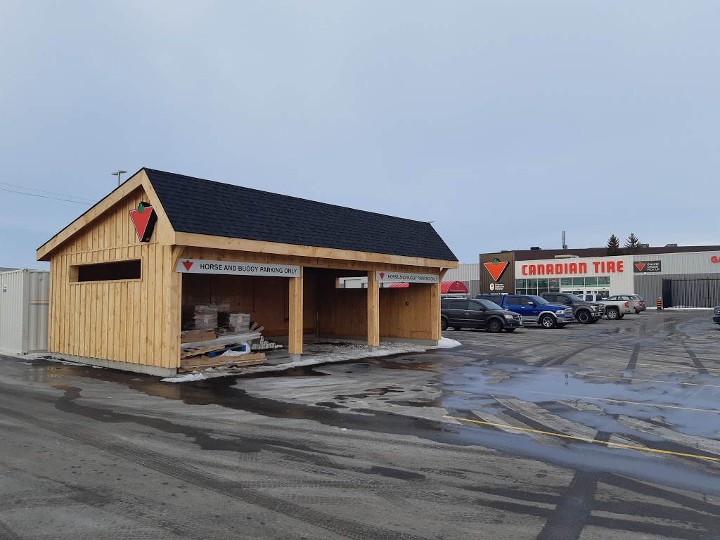 Canadian Tire | 101 Mt Forest Dr, Mount Forest, ON N0G 2L0, Canada | Phone: (519) 323-1080