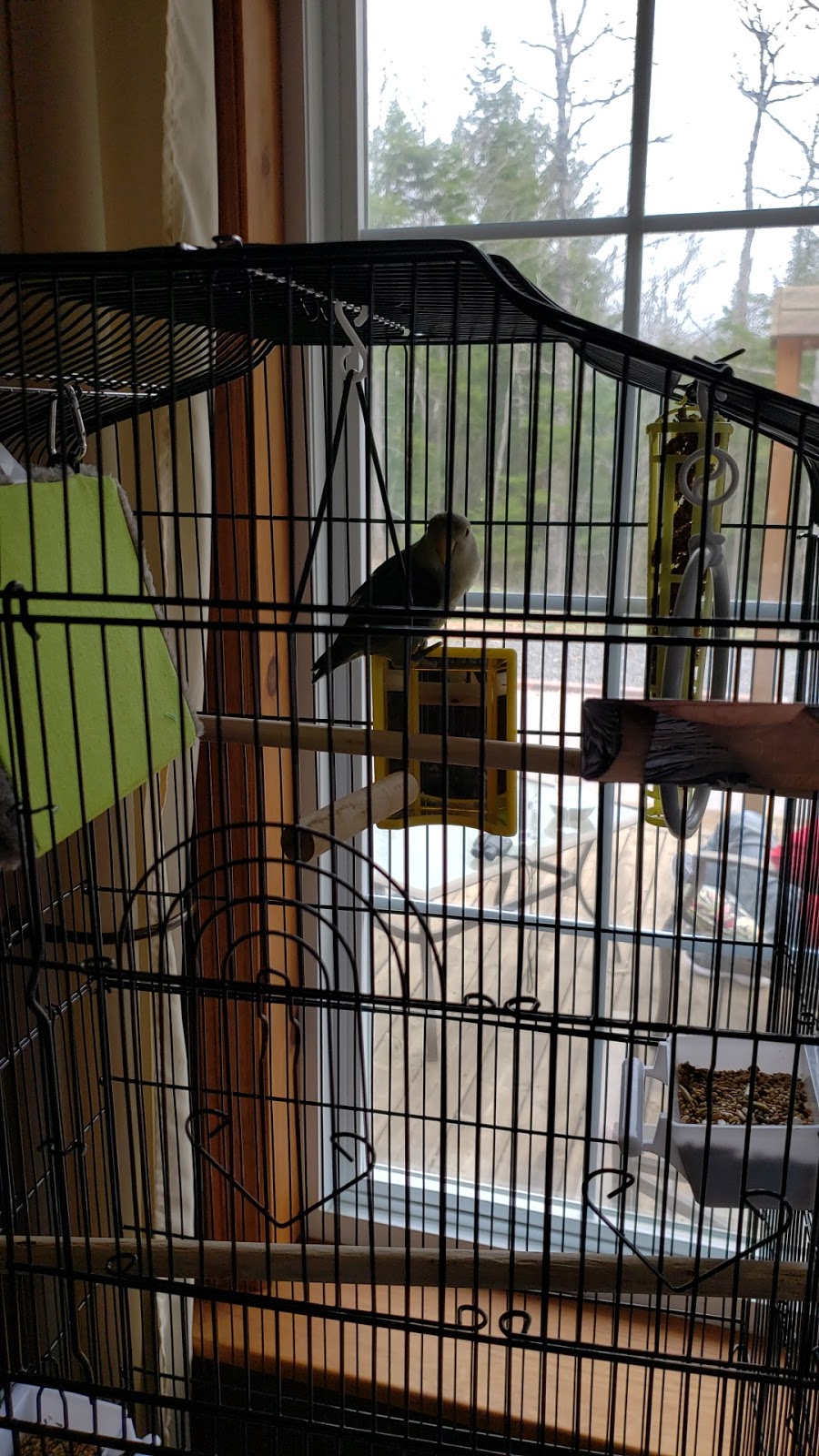 T & M Pets and Supplies | 175 Commercial St, Berwick, NS B0P 1E0, Canada | Phone: (902) 375-2433