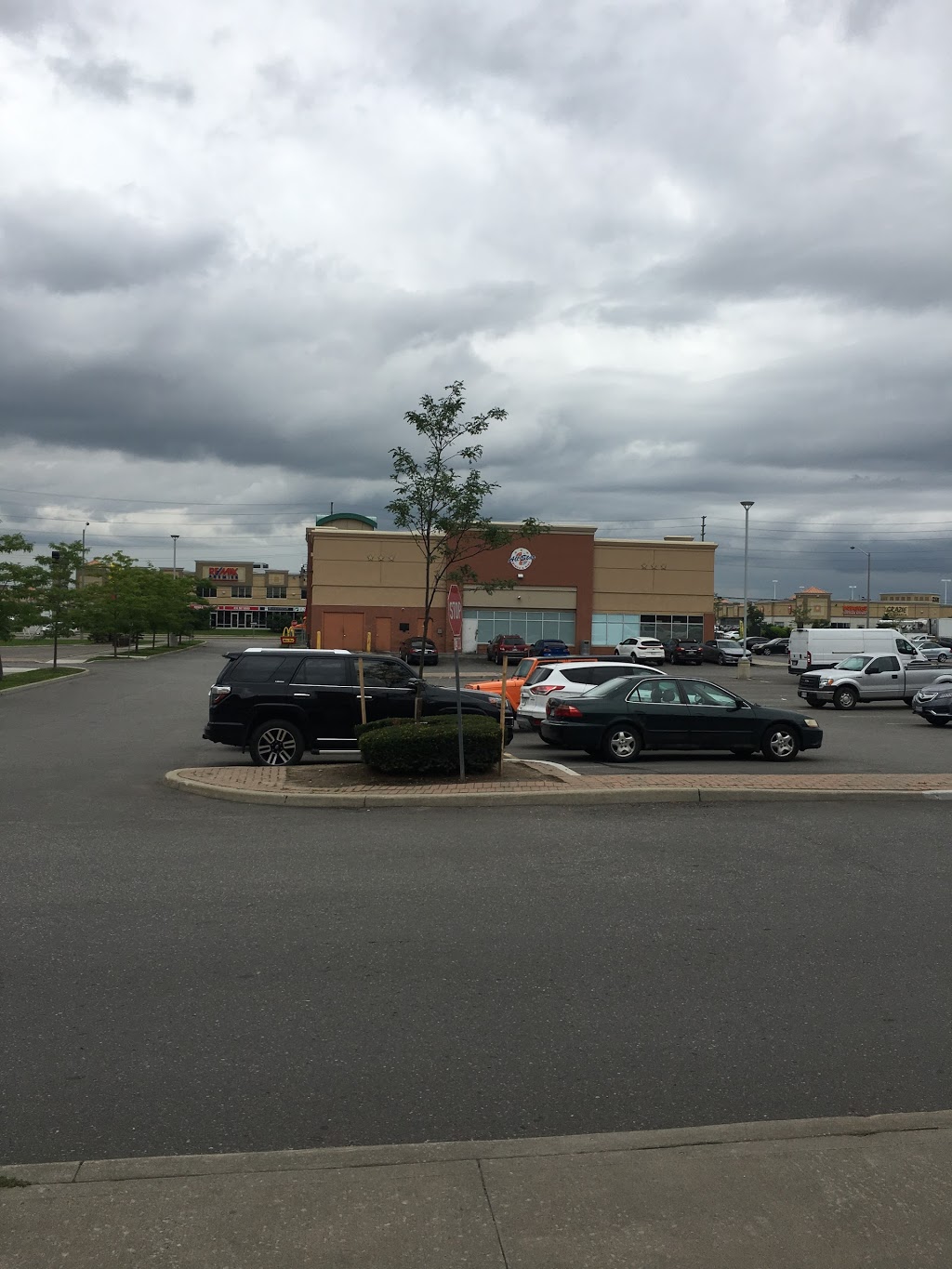 Bulldog Nutrition Vaughan | 3120 Rutherford Rd #16, Concord, ON L4K 0B1, Canada | Phone: (289) 553-4004