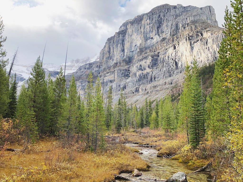 Stanley Glacier Trailhead | Kootenay Hwy, East Kootenay G, BC V0A 1E0, Canada | Phone: (250) 347-9505