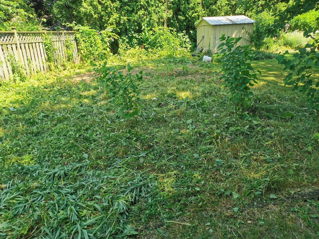 Zone Control "Property Maintenance" | 10 Dunkeld Ave, St. Catharines, ON L2M 4A5, Canada | Phone: (905) 380-3146