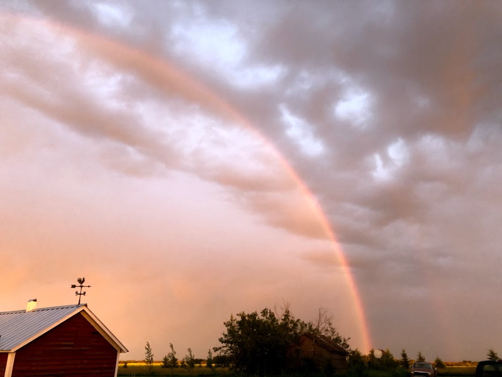 Maple Park Farm | 18311, Township Rd 502, Tofield, AB T0B 4J0, Canada | Phone: (780) 662-3820