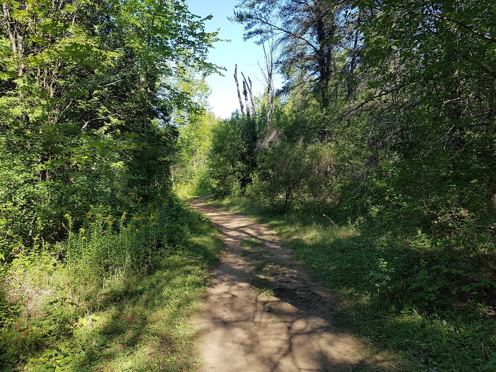 Stony Swamp Trail | NCC 26, Nepean, ON K2R 1H4, Canada