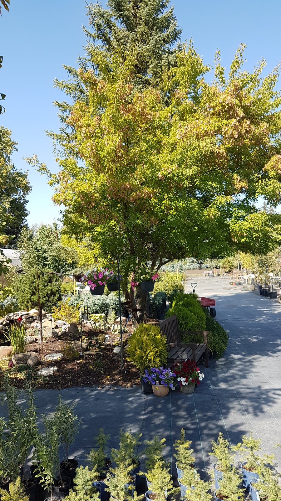 Morden Nurseries & Garden Centre | Morden, MB R6M 1B2, Canada | Phone: (204) 325-2254