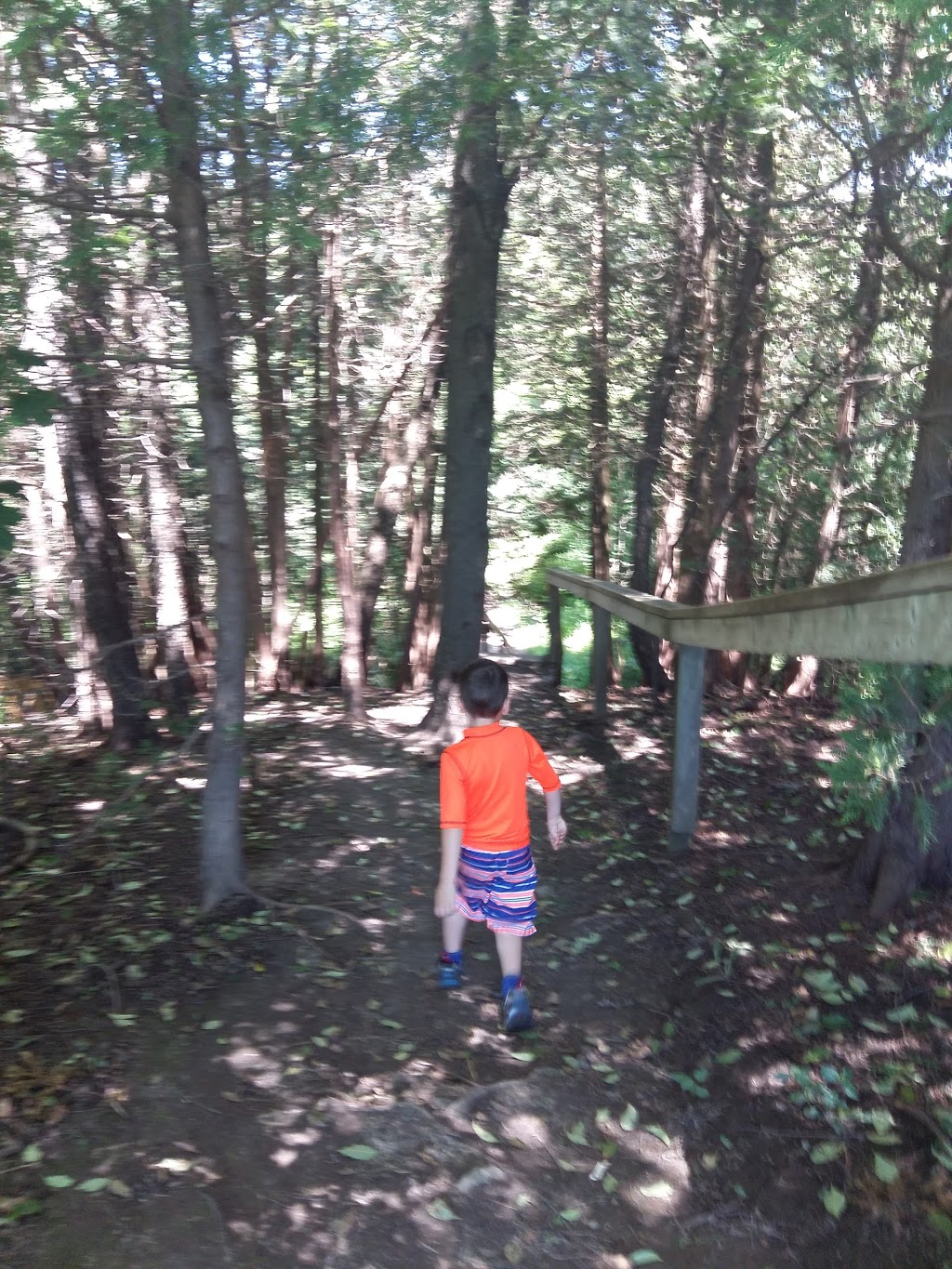 King City Trail | 13190 Keele St, King City, ON L7B 1J2, Canada | Phone: (905) 833-5321