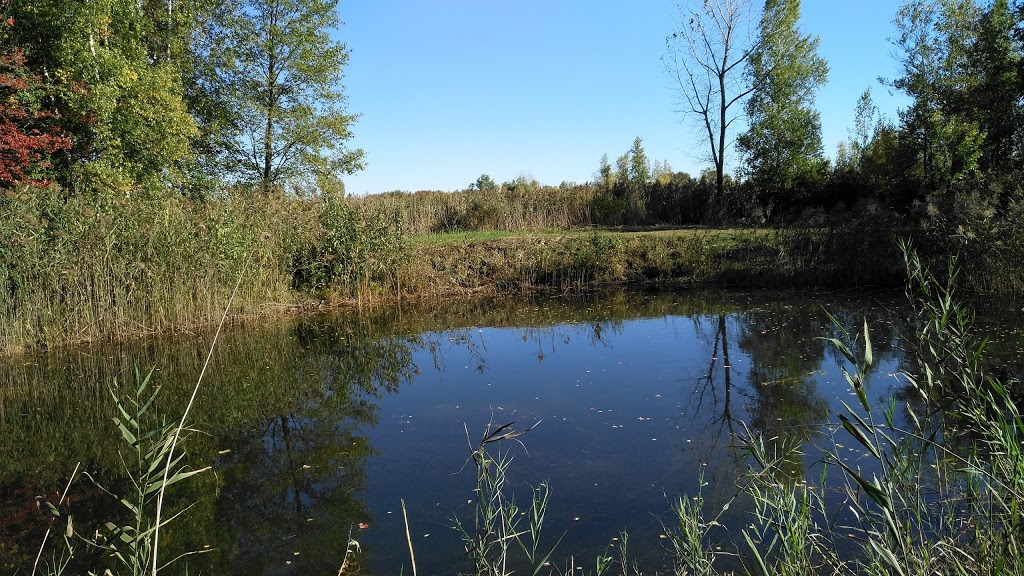 Parc Le Rocher | Rue Alfred, Saint-Amable, QC J0L 1N0, Canada