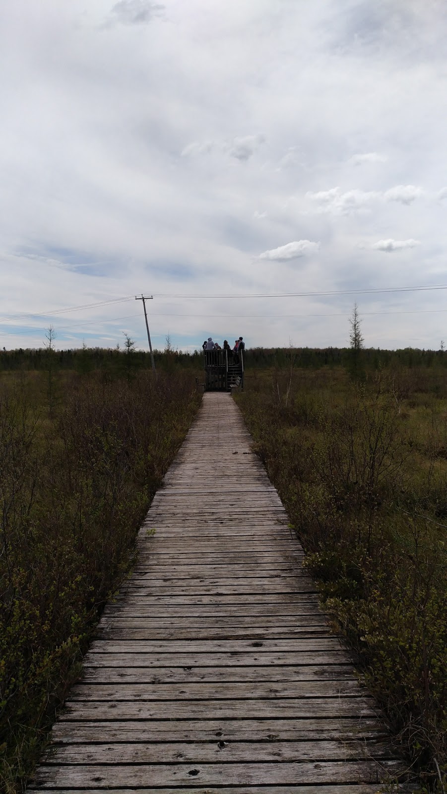Tourbières-de-Lanoraie Ecological Reserve | Lanoraie, QC J5T 3K6, Canada