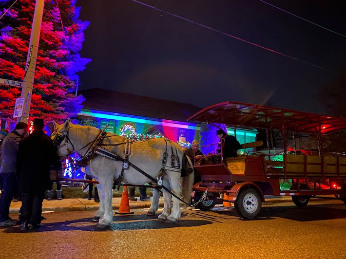 Fairytale Horse and Carriage | 473262 Dufferin County Road 11, Laurel, ON L0N 1L0, Canada | Phone: (416) 737-2860