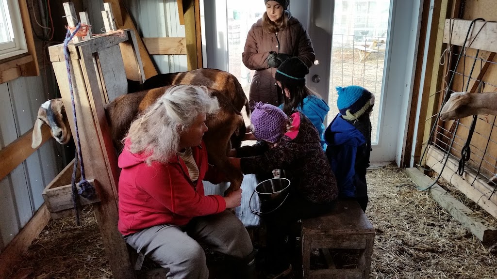 Good Note Community Farm | 510 Township Rd 510, New Sarepta, AB T0B 3M0, Canada | Phone: (780) 941-2341