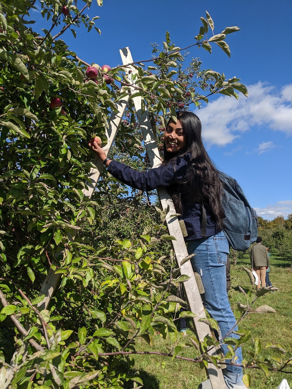Les 7 fruits du château | 1172 Chemin de la Montagne, Mont-Saint-Hilaire, QC J3G 4S6, Canada | Phone: (450) 467-9965