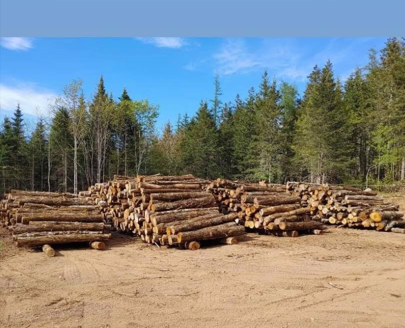 Maggies Farm | 54 Highway 326, Earltown, NS B0K 1V0, Canada | Phone: (902) 657-0049