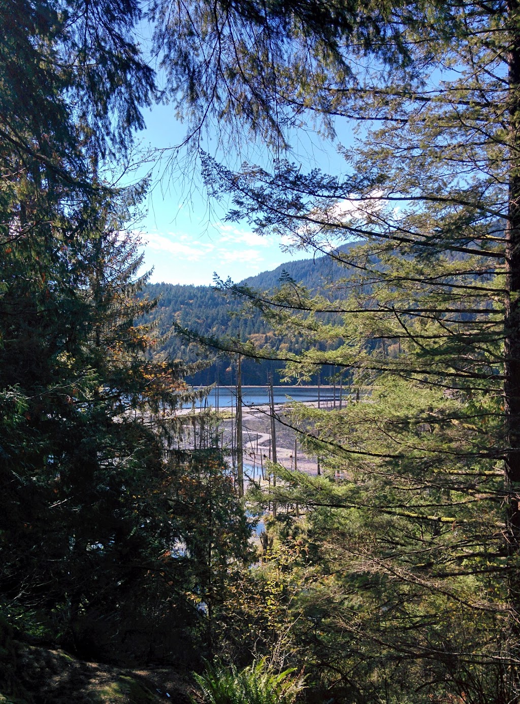 Xenia Labyrinth | 1401 Fernie Rd, Bowen Island, BC V0N 1G2, Canada | Phone: (604) 947-9816