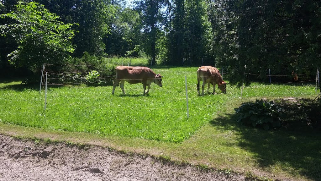 Ferme vache heureux | 2083 Chemin St Louis, Saint-Lazare, QC J7T 1Y2, Canada | Phone: (438) 929-3840
