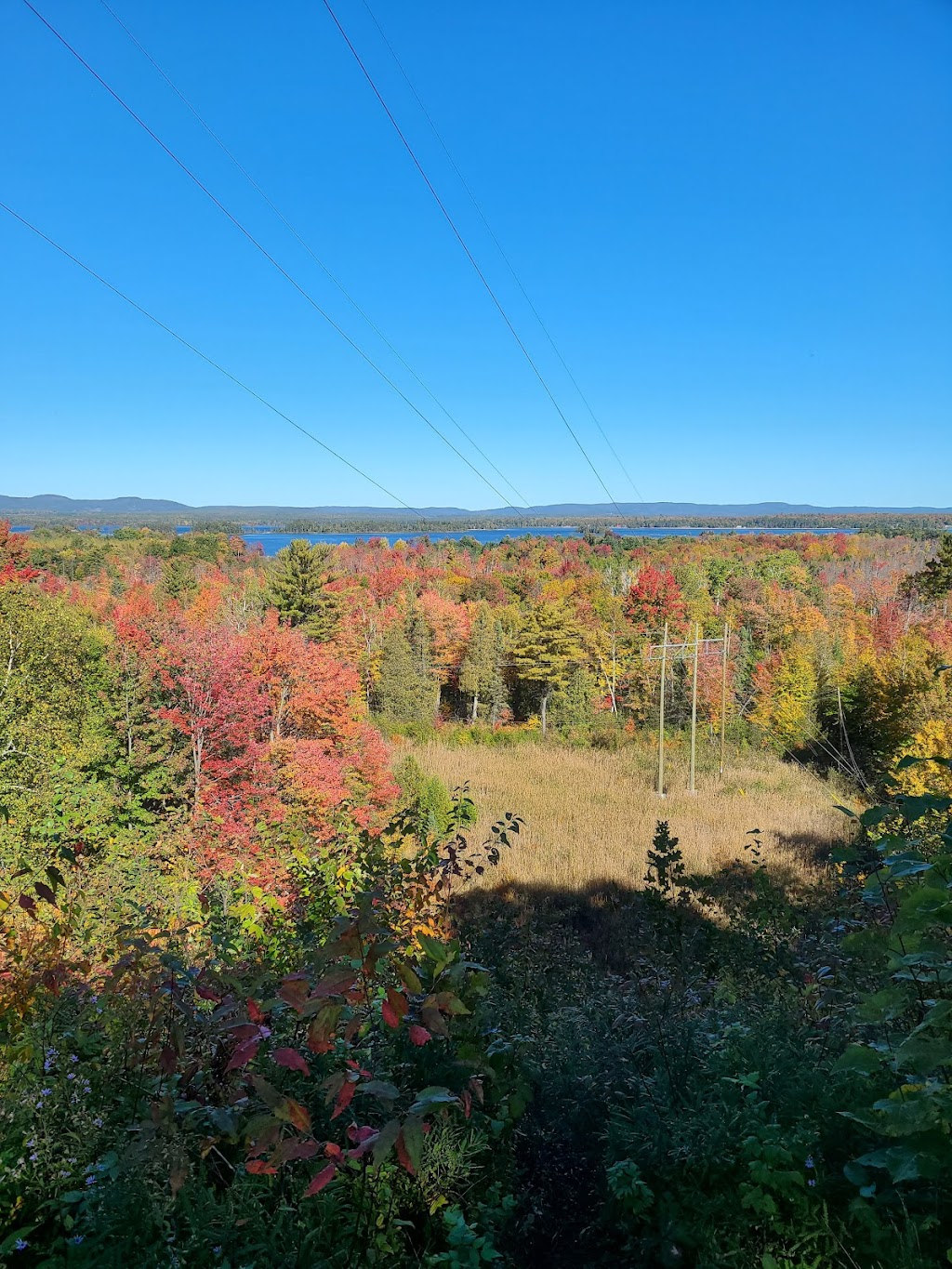 Petawawa Ski Club (Mount Molson) | 536 Laurentian Dr, Petawawa, ON K8H 2N1, Canada | Phone: (613) 687-8085