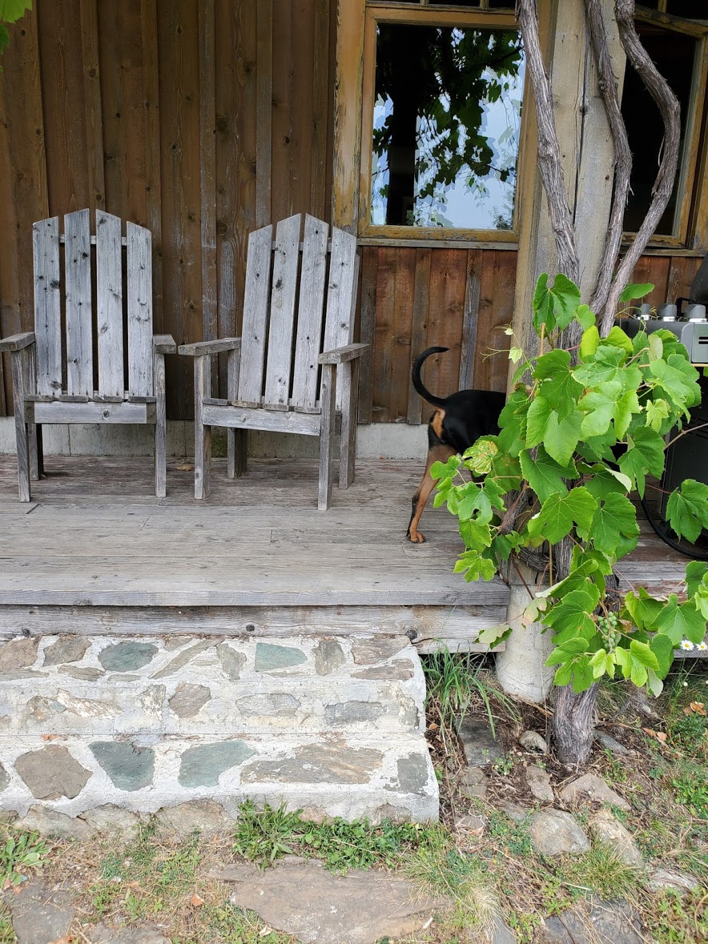 Lavender House | 168 Larch Hills Forest service Rd, Mara, BC V0E 2K0, Canada | Phone: (250) 804-3314