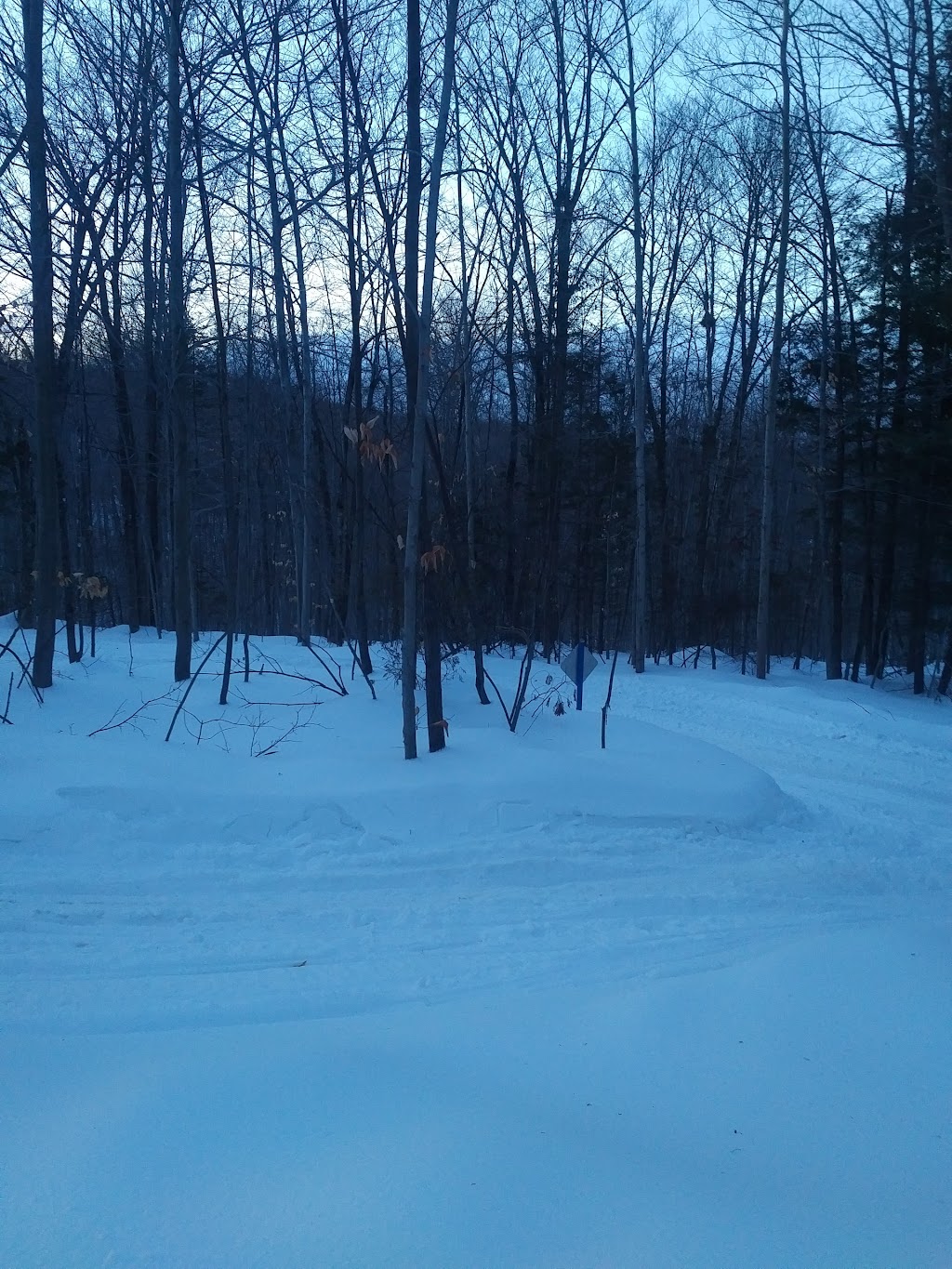 Entretien de Terrain Jacques | 2443 Ch des Hauteurs, Saint-Hippolyte, QC J8A 3C6, Canada | Phone: (450) 563-4585