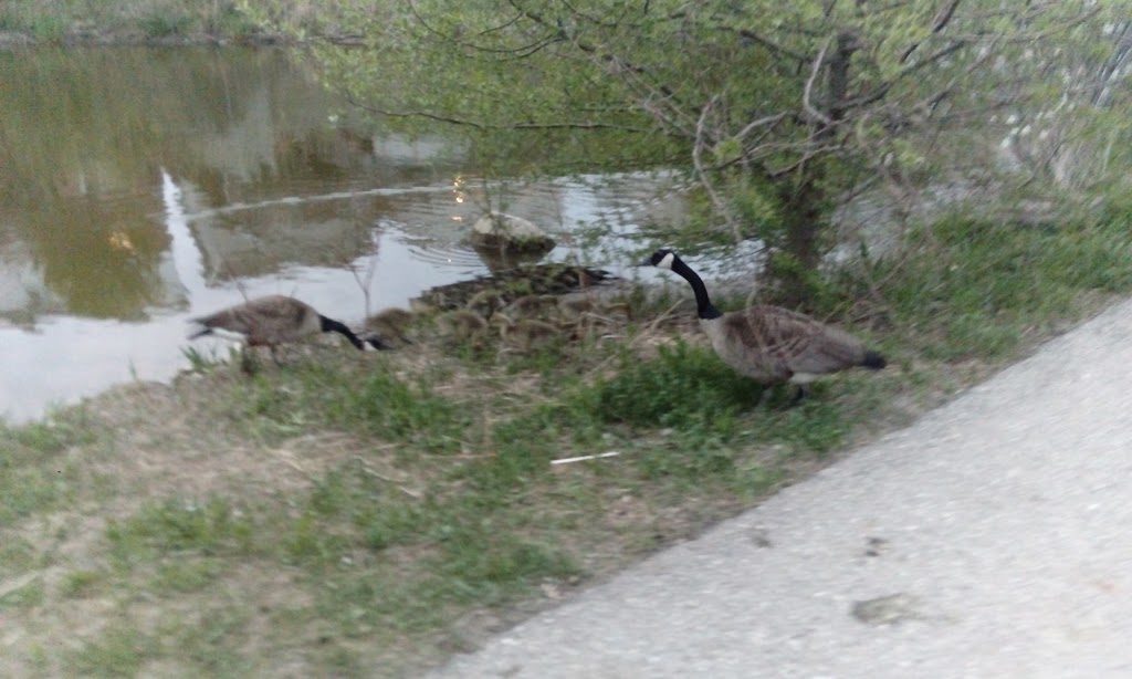 Detweiler Greenway | Highland West, Kitchener, ON N2N, Canada