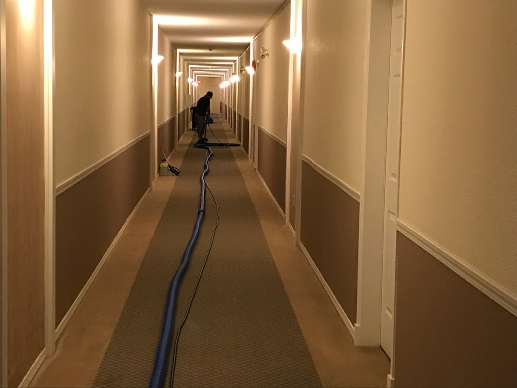 Eco Choice Carpet Cleaning | 46-1874 Parkview Crescent, Kelowna, BC V1X 7G6, Canada | Phone: (778) 581-2450