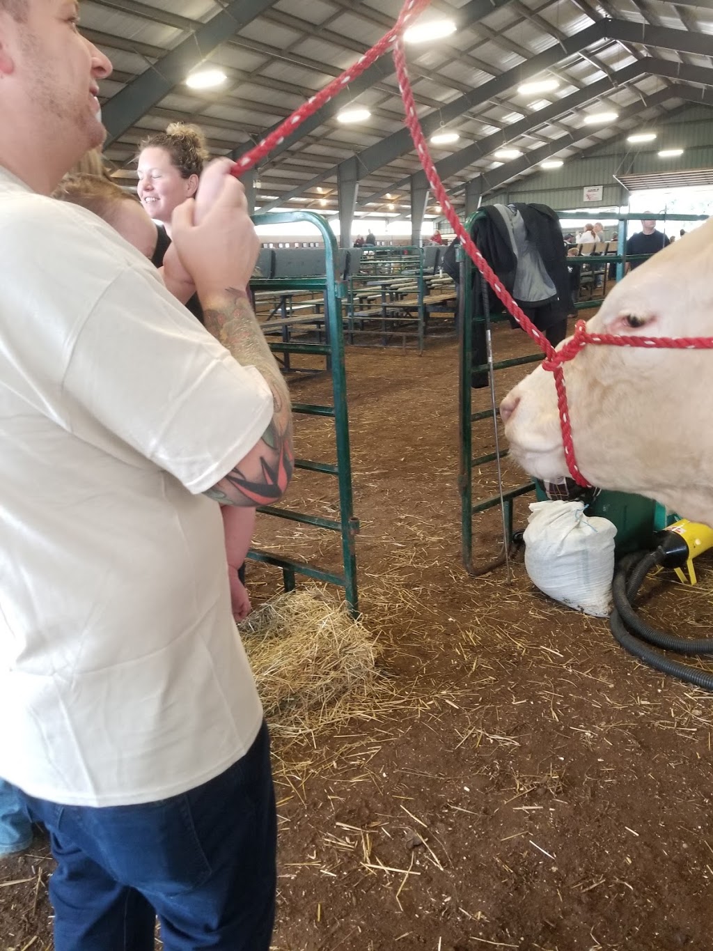 Ilderton Agricultural Society | 195 King St, Ilderton, ON N0M 2A0, Canada | Phone: (519) 666-2995