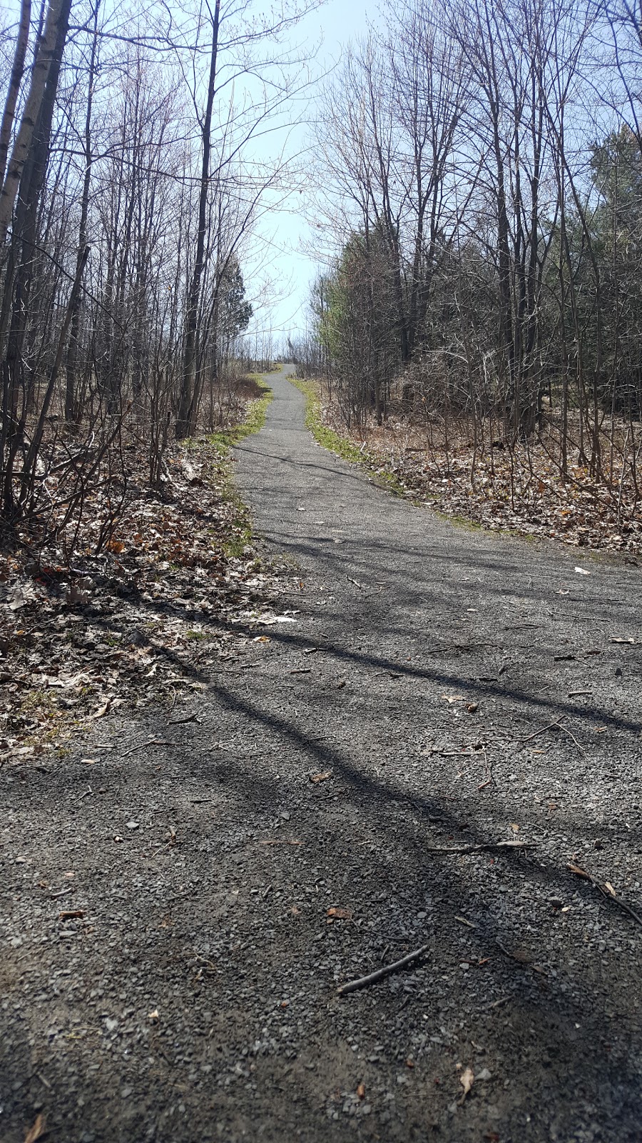 Parc de la Symphonie | 1672 Rue André-Prévost, Saint-Jérôme, QC J7Z 7H6, Canada