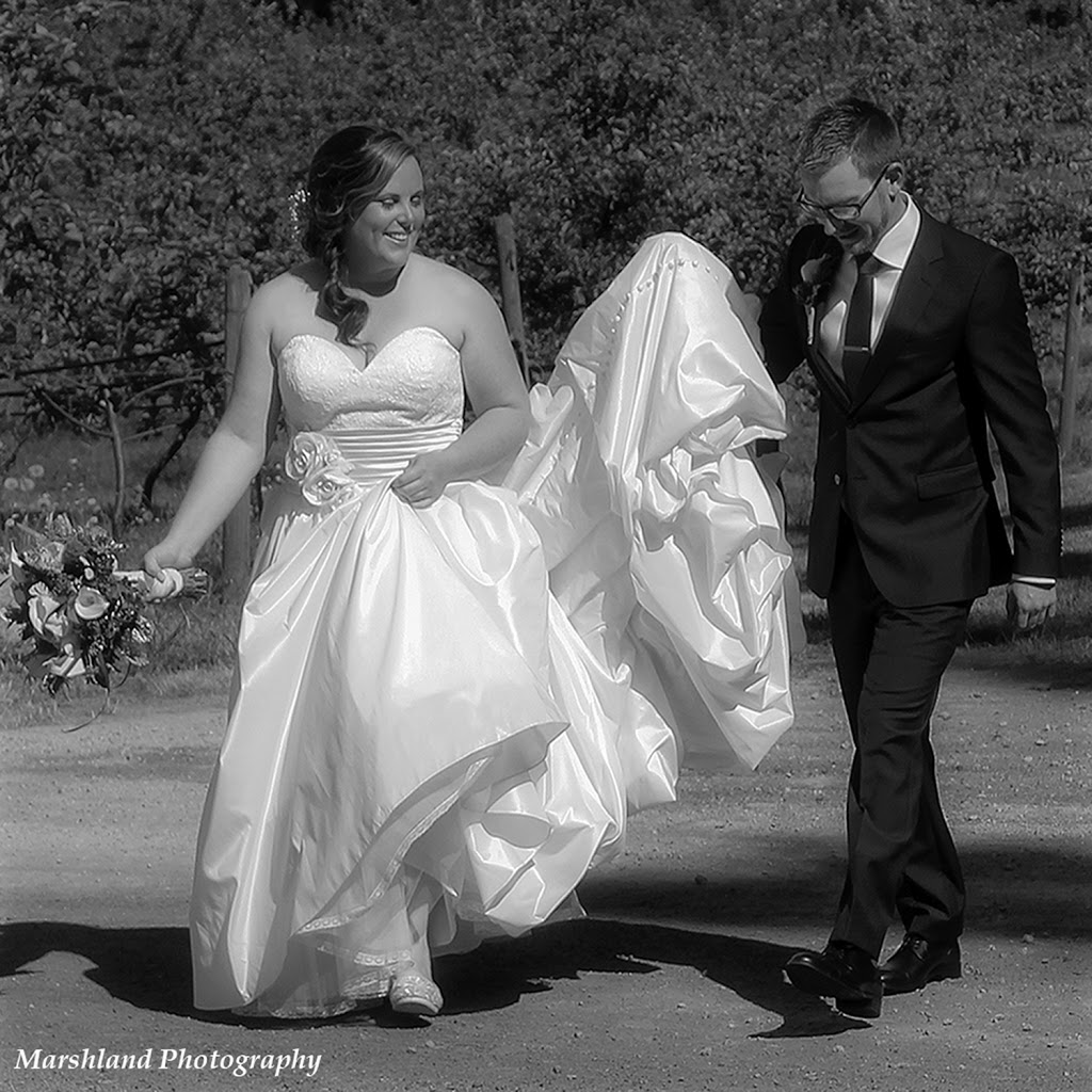 Marshland Photography | 105 Portrush Ct, Freelton, ON L8B 1A5, Canada | Phone: (289) 230-3720