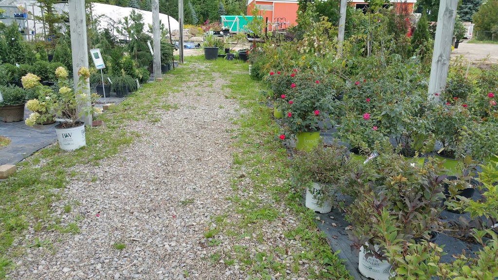 Reds Garden Centre | 12771 Regional Rd 25, Acton, ON L7J 2M1, Canada | Phone: (519) 853-2480